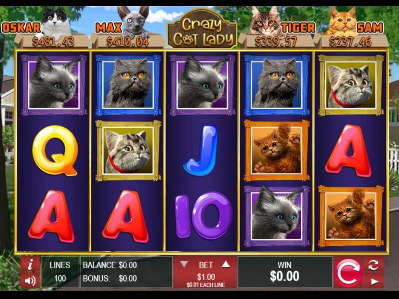 Crazy Cat Lady Online Slot screenshot
