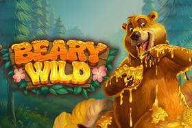 beary-wild-slotsgame-screenshot