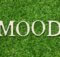 the word mood on green grass reminiscent of how one character in the movie Pretty Woman calmed down by being barefoot on grass