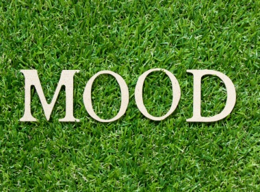 the word mood on green grass reminiscent of how one character in the movie Pretty Woman calmed down by being barefoot on grass